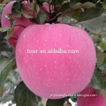 chinese fuji apples red fuji blush fuji apples